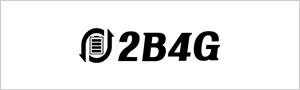 2b4g.net-300